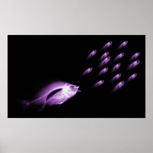 XRAY FISH CHASE BLACK PURPLE POSTER