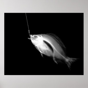 XRAY HOOK FISH BLACK WHITE POSTER