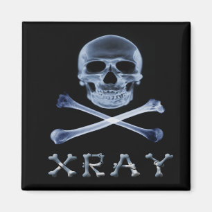 XRAY PIRATE Flag RADIOLOGY JOLLY ROGER Magnet