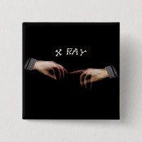 XRAY TOUCH REMINISCENT OF LEONARDO DAVINCI