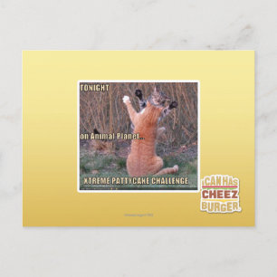Xtreme PattyCake Challenge Postcard