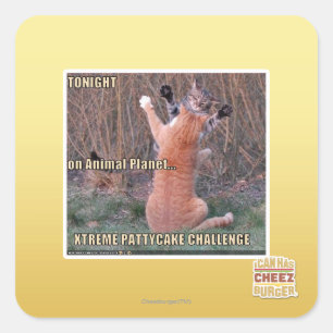 Xtreme PattyCake Challenge Square Sticker