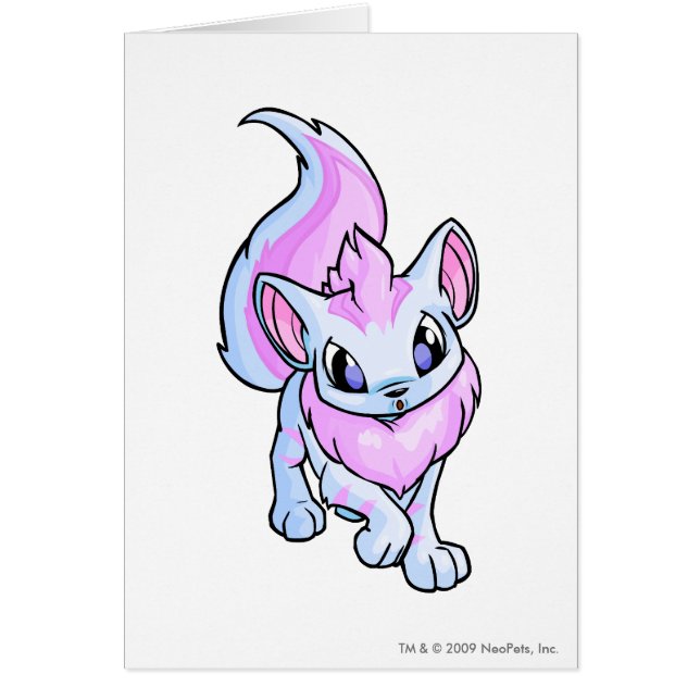 Xweetok Striped (Front)