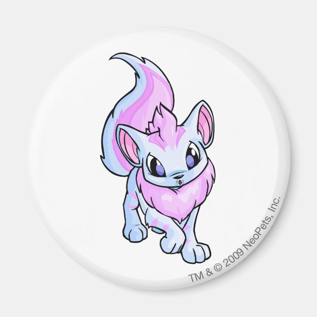 Xweetok Striped Magnet (Front)