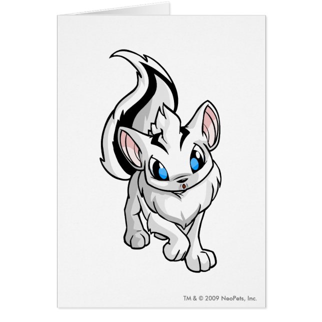 Xweetok White (Front)