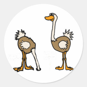 XX- Ostriches in Sand Classic Round Sticker