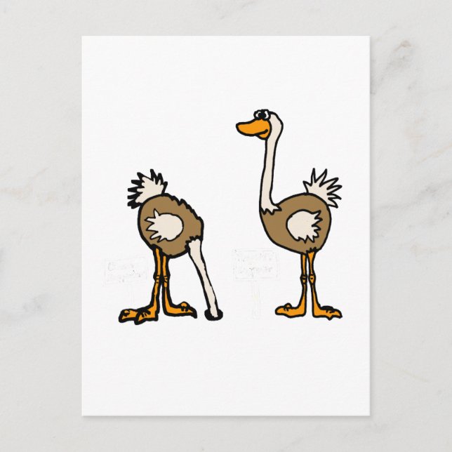 XX- Ostriches in Sand Postcard (Front)