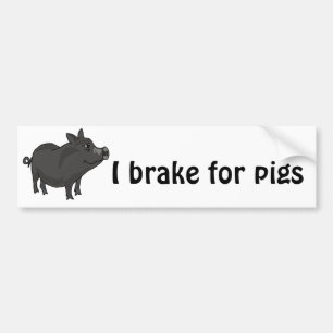 XX- Pot Bellied Pig Cartoon Bumper Sticker