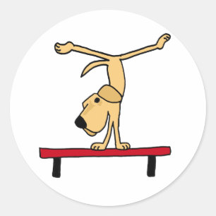 XX- Yellow Labrador on Balance Beam Cartoon Classic Round Sticker