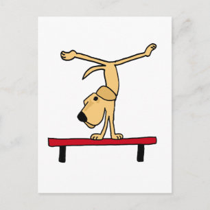 XX- Yellow Labrador on Balance Beam Cartoon Postcard