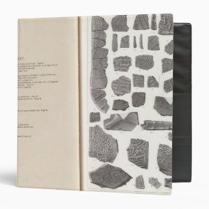 XXV Plastomenus, Trionyx Binder