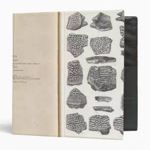 XXVI Trionyx Binder