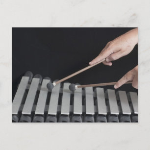 Xylophone Postcard