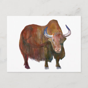 Y. Yak / carte postale