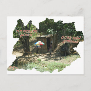 Ya Man ~ Ochos Rios Jamaica Postcard