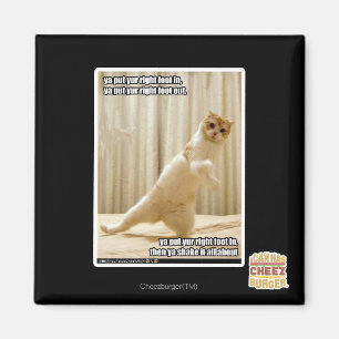 Ya put yur right foot in, ya put yur right foot ou magnet