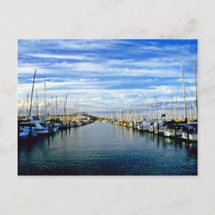 Yacht Club, Auckland Harbour, North Island Postcard