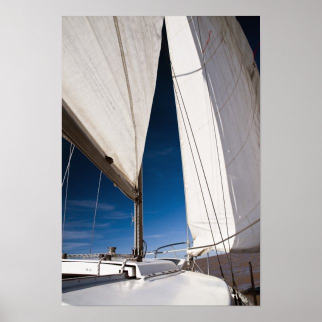 Yacht sails and sky poster (Front)