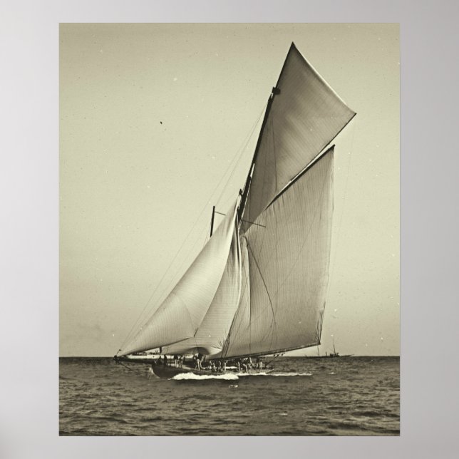 Yacht Shamrock Racing America's Cup 1899 Poster (Front)