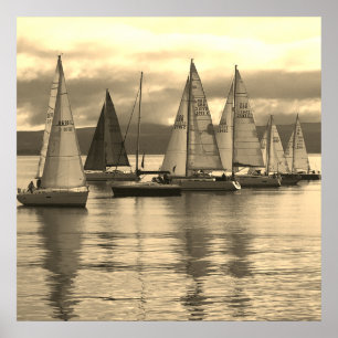 Yachts in Rothesay Bay Scotland Flotilla of Yachts Poster