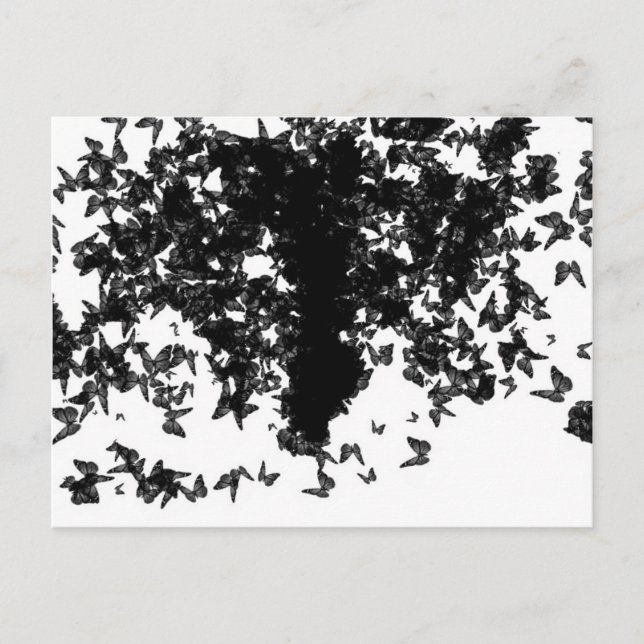 yaie black swallowtail butterfly postcard (Front)