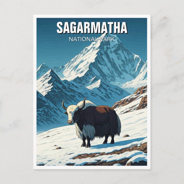 Yak at Sagarmatha National Park Nepal Postcard (Front)