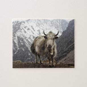 Yak in Nepal Jigsaw Puzzle