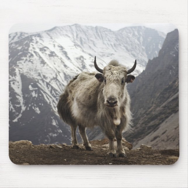 Yak in Nepal Mouse Pad (Front)
