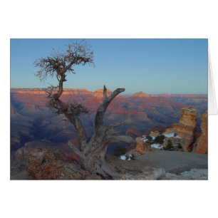 Yaki Point Au Grand Canyon