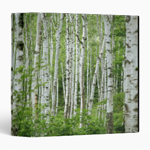 Yakumo-mura, Nagano Prefecture, Central Honshu Binder