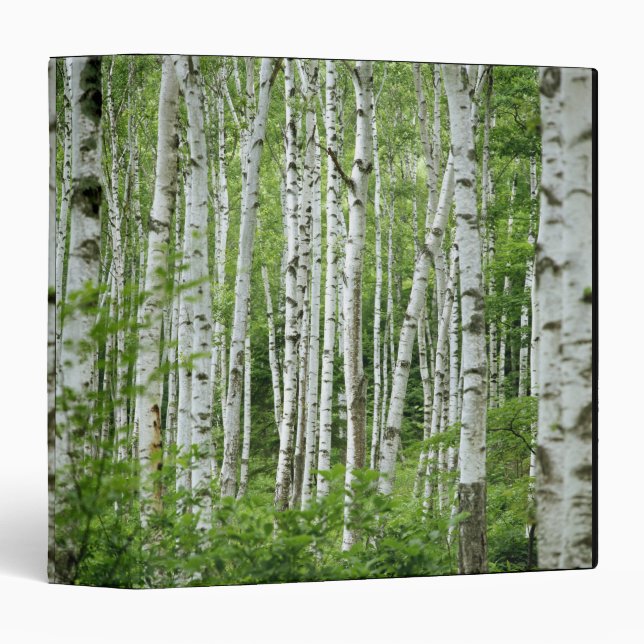 Yakumo-mura, Nagano Prefecture, Central Honshu Binder (Front/Spine)