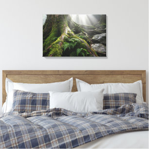 Yakushima Moss Forest 'Breath of Life' Biophilic Canvas Print