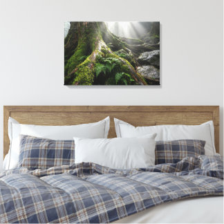 Yakushima Moss Forest 'Breath of Life' | Biophilic Canvas Print