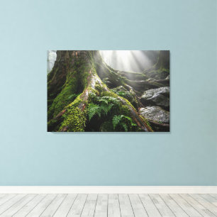 Yakushima Moss Forest 'Breath of Life' Biophilic Canvas Print