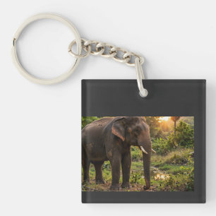 Yala National Park Elephant Mug - Sri Lanka Wildli Keychain