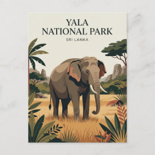 Yala National Park Sri Lanka Postcard