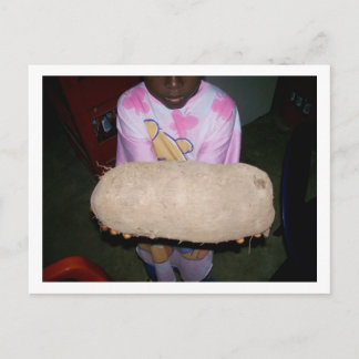 Yam Tuber, Nigeria Postcard