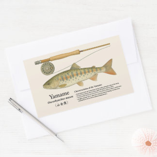Yamame (Oncorhynchus masou) – English Illust Sticker