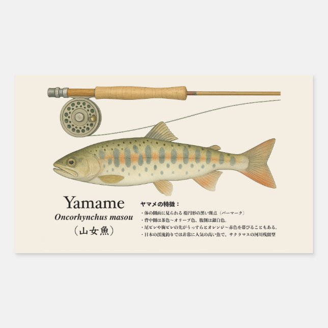 Yamame (Oncorhynchus masou) – Fish Illust Sticker (Front)