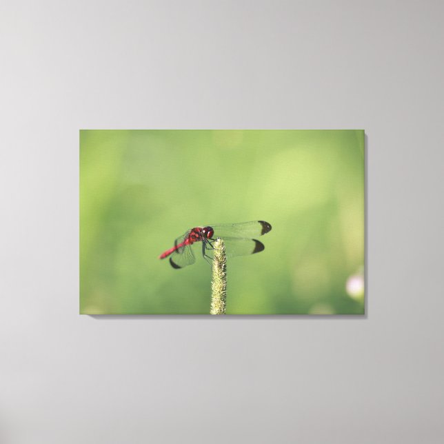 Yamanashi Prefecture, Honshu, Japan Canvas Print (Front)