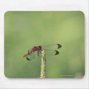 Yamanashi Prefecture, Honshu, Japan Mouse Pad