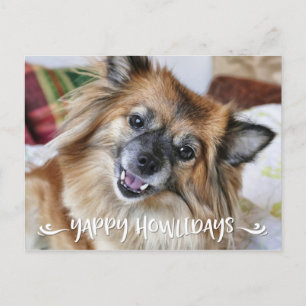 YAPPY HOWLIDAYS   Funny Dog Photo Holiday Postcard