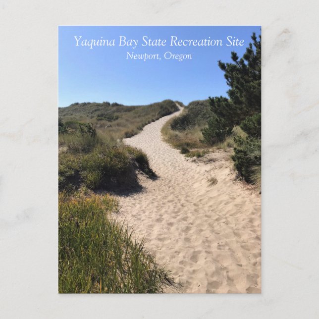 Yaquina Bay State Recreation Site, Newport, Oregon Postcard (Front)
