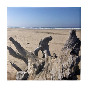 Yaquina Bay State Recreation Site, Newport, Oregon Tile