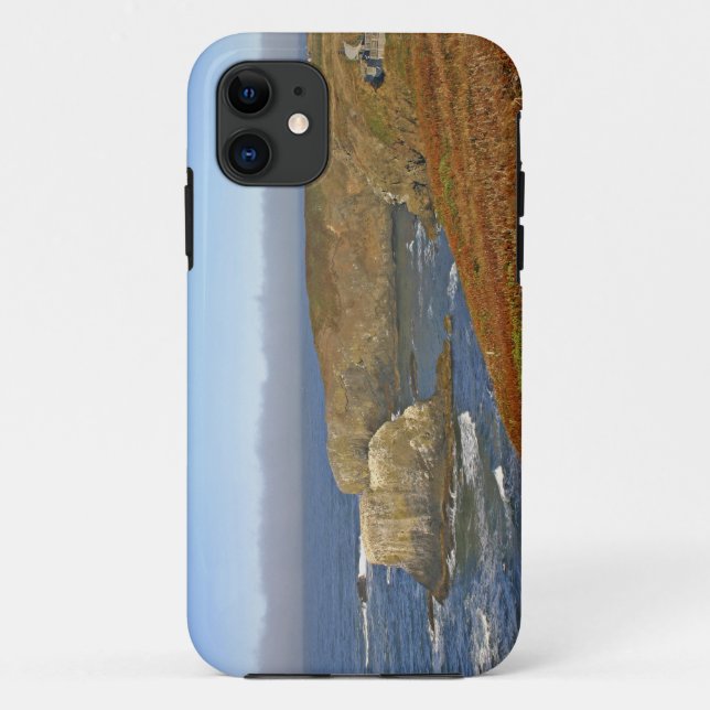 Yaquina Head Lighthouse at Newport Oregon Case-Mate iPhone Case (Back)