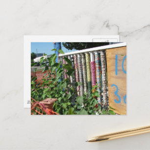 Yarn Bombed Abandoned House in Iowa Postcard