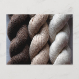 Yarn Brown Beige Cream Coloured Alpaca Postcard