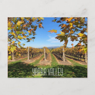 yarra valley autumn vineyard postcard