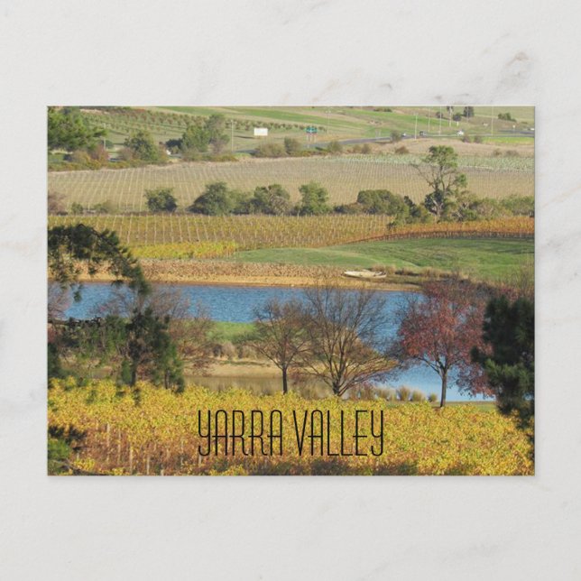 yarra valley vineyard postcard (Front)