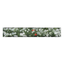 Yarrow Ptarmica "The Pearl" Maltese Cross